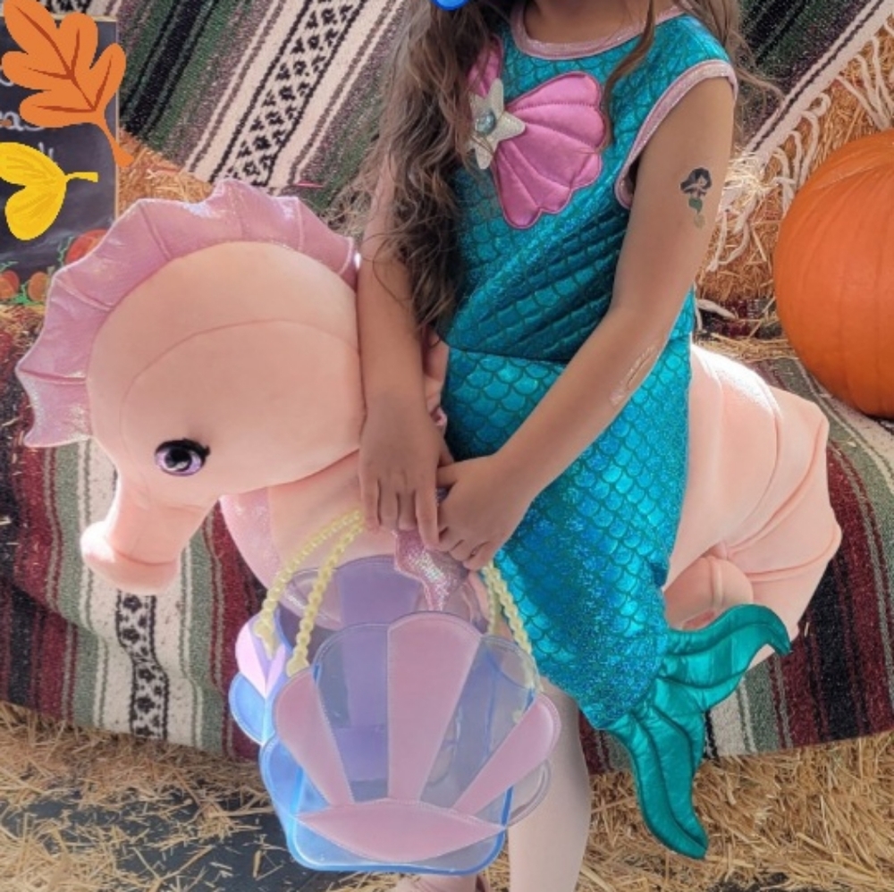 Mermaid riding seahorse costume 4T